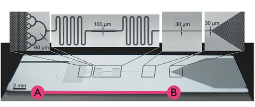 芯片實驗室利用毛細管作用對一針孔的血液進行處理，毛細管作用使血液樣本從A流到B，數(shù)秒內(nèi)就可得出結(jié)果。