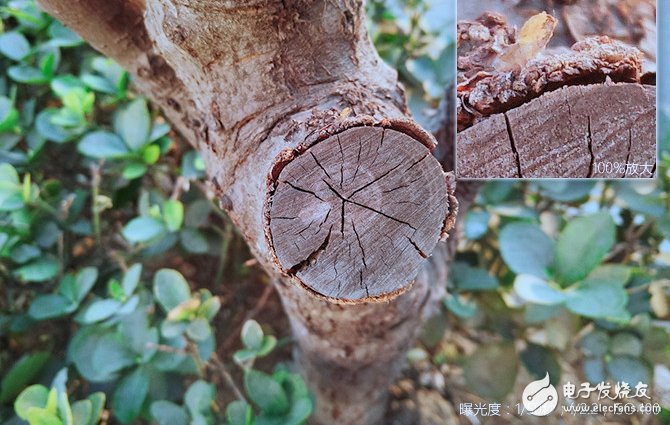 美圖T8評測：將美顏玩到極致 3299值不值得入手？